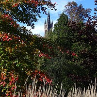 Buy canvas prints of Glasgow University from Kelvingrove Park in autumn by yvonne & paul carroll