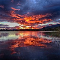 Buy canvas prints of Lake of Menteith autumn sunset by yvonne & paul carroll