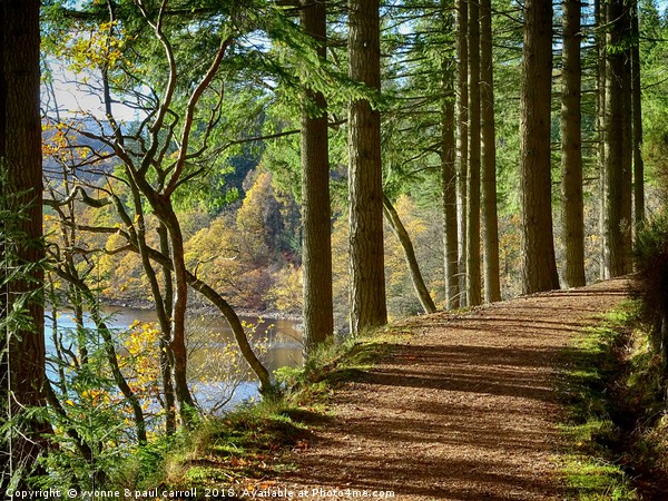 walking along Loch Drunkie in autumn Picture Board by yvonne & paul carroll