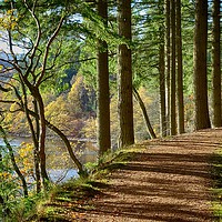 Buy canvas prints of walking along Loch Drunkie in autumn by yvonne & paul carroll