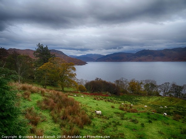 Loch Morar in the autumn Picture Board by yvonne & paul carroll