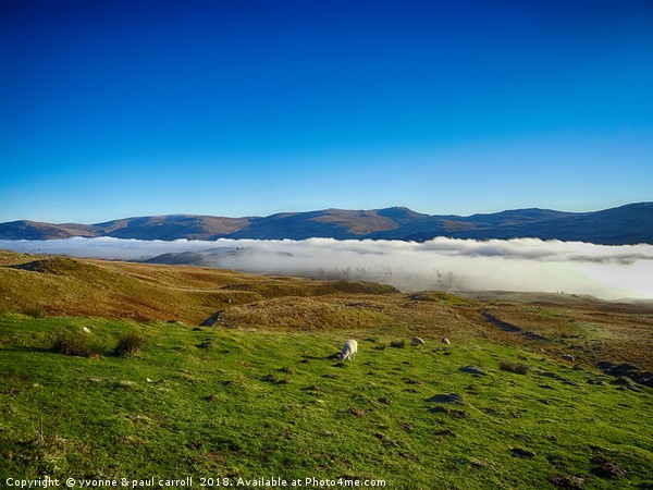 Mist over Loch Tay from Ben Lawers road Picture Board by yvonne & paul carroll