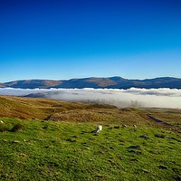 Buy canvas prints of Mist over Loch Tay from Ben Lawers road by yvonne & paul carroll