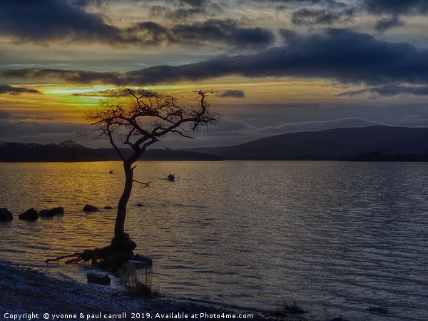 Millarochy Bay, Loch Lomond at sunset Picture Board by yvonne & paul carroll