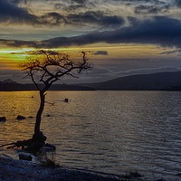 Buy canvas prints of Millarochy Bay, Loch Lomond at sunset by yvonne & paul carroll