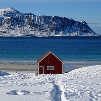 Buy canvas prints of Red hut on the beach at Ramsberg Beach, Lofoten  by yvonne & paul carroll