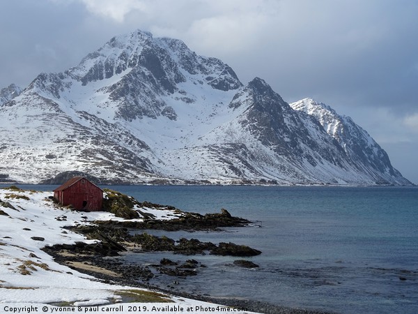 Fisherman's cabin in the snow on the fjord Lofoten Picture Board by yvonne & paul carroll