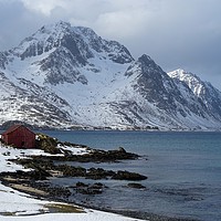 Buy canvas prints of Fisherman's cabin in the snow on the fjord Lofoten by yvonne & paul carroll