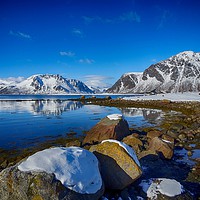 Buy canvas prints of Snowy boulders at the edge of the fjord, Lofoten  by yvonne & paul carroll