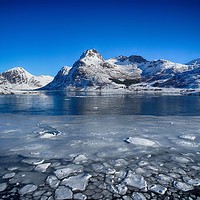 Buy canvas prints of Broken ice on the fjord, Lofoten by yvonne & paul carroll