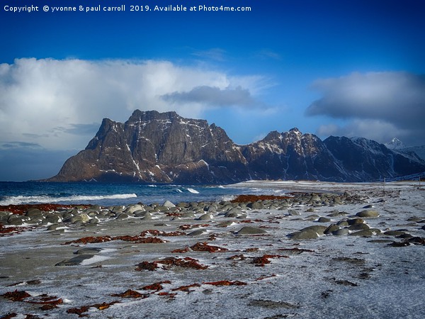 Lofoten winters - jagged cliffs, snow on the beach Picture Board by yvonne & paul carroll