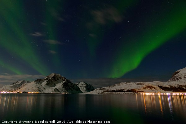 Northern Lights, Lofoten Islands, Norway Picture Board by yvonne & paul carroll