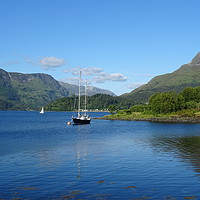 Buy canvas prints of Ballachulish and the Glencoe mountains by yvonne & paul carroll