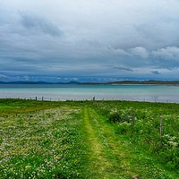 Buy canvas prints of Looking over the machair to the beach at Scurrival by yvonne & paul carroll