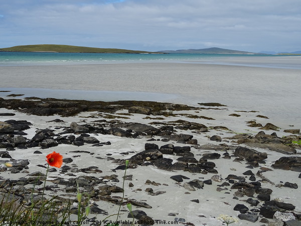 Clachan Sands North Uist at low tide Picture Board by yvonne & paul carroll