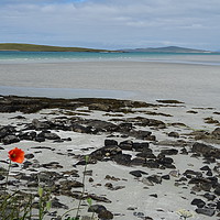 Buy canvas prints of Clachan Sands North Uist at low tide by yvonne & paul carroll
