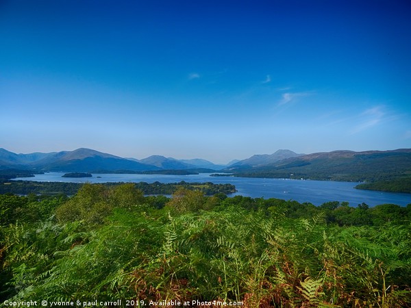 Loch Lomond islands & mountains from Inch Cailloch Picture Board by yvonne & paul carroll