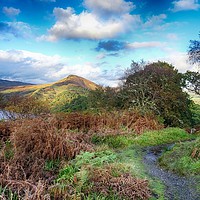 Buy canvas prints of Conic Hill and Loch Lomond from Inchcailloch by yvonne & paul carroll
