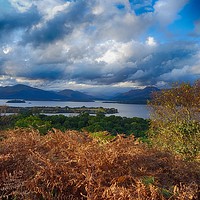 Buy canvas prints of Loch Lomond from the Inchcailloch "Summit Trail" by yvonne & paul carroll
