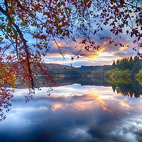 Buy canvas prints of Loch Drunkie sunset in Autumn, Trossachs, Scotland by yvonne & paul carroll