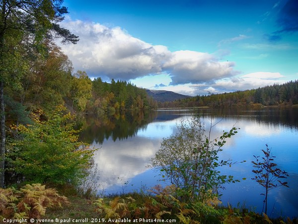 Loch Drunkie in Autumn, Trossachs, Scotland Picture Board by yvonne & paul carroll