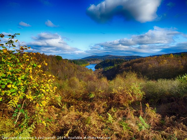 Loch Drunkie surrounded by glowing Autumn colours Picture Board by yvonne & paul carroll