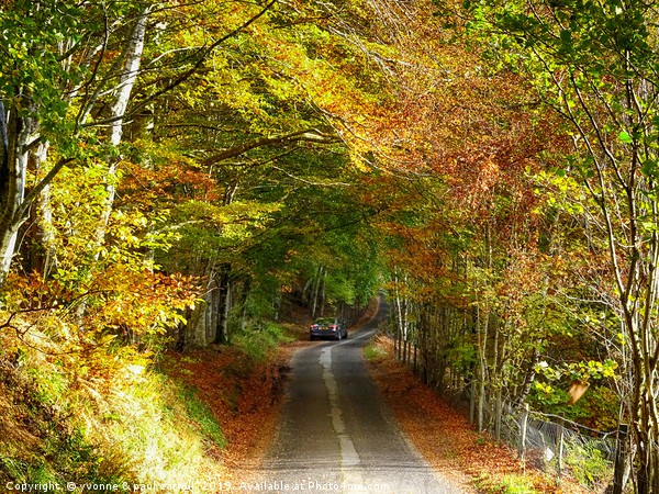Driving through Glen Lyon, Perthshire, in Autumn Picture Board by yvonne & paul carroll