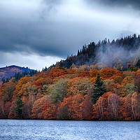 Buy canvas prints of Pitlochry foliage in the Autumn, Scotland by yvonne & paul carroll