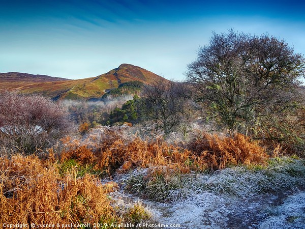 Winter on Inchcailloch, Loch Lomond - Conic Hill Picture Board by yvonne & paul carroll
