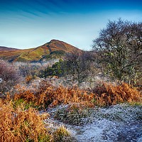 Buy canvas prints of Winter on Inchcailloch, Loch Lomond - Conic Hill by yvonne & paul carroll