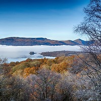 Buy canvas prints of Loch Lomond in the mist from inchcailloch island by yvonne & paul carroll