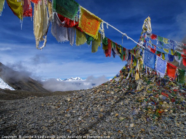 Prayer flags at Thorong-La Pass Picture Board by yvonne & paul carroll