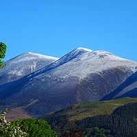 Buy canvas prints of Skiddaw mountain covered in a dusting of snow      by yvonne & paul carroll
