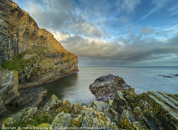 Whaligoe Harbour, North Coast 500, Scotland Picture Board by yvonne & paul carroll
