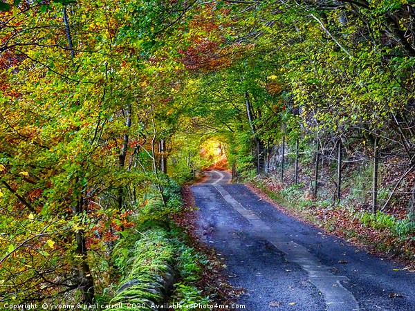       Glen Lyon in Autumn                          Picture Board by yvonne & paul carroll