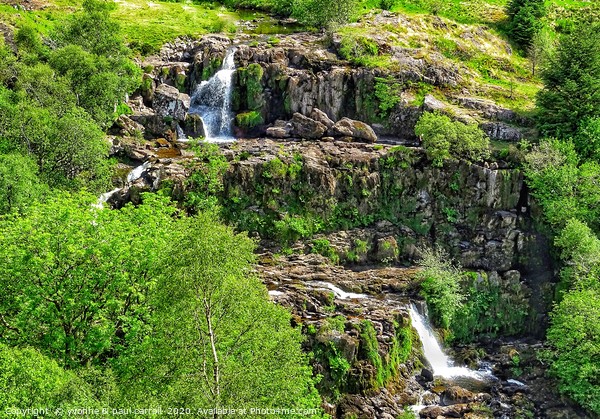 Loup of Fintry cascading waterfalls         Picture Board by yvonne & paul carroll