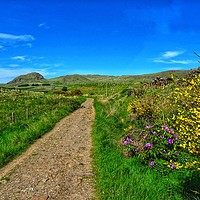 Buy canvas prints of West Highland Way looking towards Dumgoyne Hill    by yvonne & paul carroll