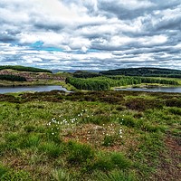Buy canvas prints of Jaw Reservoir and Cochno Loch in the Kilpatrick Hi by yvonne & paul carroll