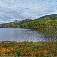 Buy canvas prints of Loch Achray and Ben Ann in Autumn by yvonne & paul carroll