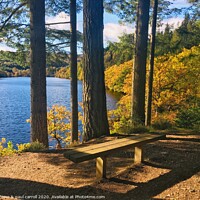 Buy canvas prints of Walking along the shores of Loch Drunkie in Autumn by yvonne & paul carroll