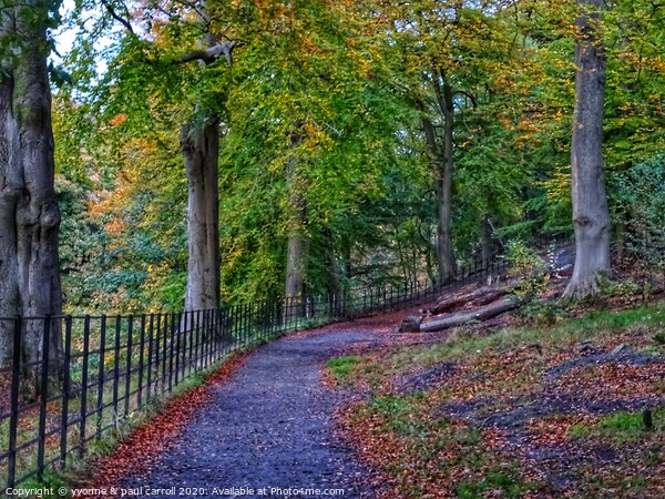 Dawsholm Park Glasgow in Autumn Picture Board by yvonne & paul carroll