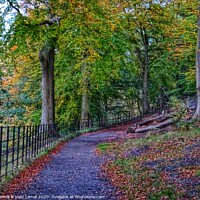 Buy canvas prints of Dawsholm Park Glasgow in Autumn by yvonne & paul carroll