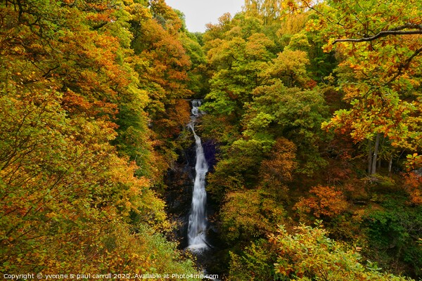 Black Spout Waterfall, Pitlochry Picture Board by yvonne & paul carroll