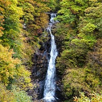 Buy canvas prints of Black Spout Waterfall, Pitlochry by yvonne & paul carroll
