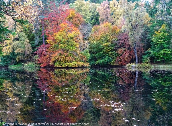 Loch Dunmore, Faskally Woods, Perthshire Picture Board by yvonne & paul carroll