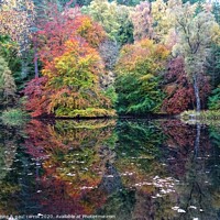 Buy canvas prints of Loch Dunmore, Faskally Woods, Perthshire by yvonne & paul carroll