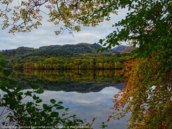 Faskally Loch in Autumn Picture Board by yvonne & paul carroll