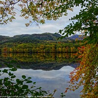 Buy canvas prints of Faskally Loch in Autumn by yvonne & paul carroll