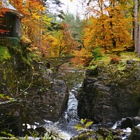 Buy canvas prints of The Hermitage, Dunkeld by yvonne & paul carroll