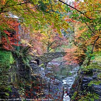 Buy canvas prints of The Hermitage, Dunkeld by yvonne & paul carroll